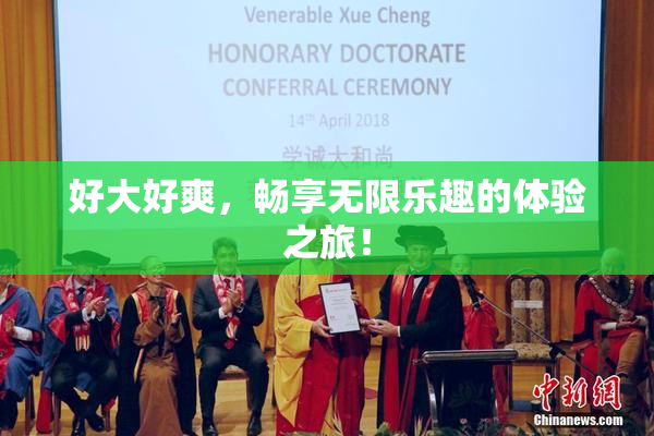 好大好爽，畅享无限乐趣的体验之旅！