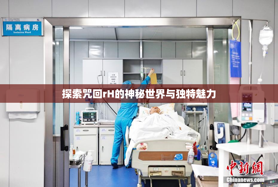 探索咒回rH的神秘世界与独特魅力