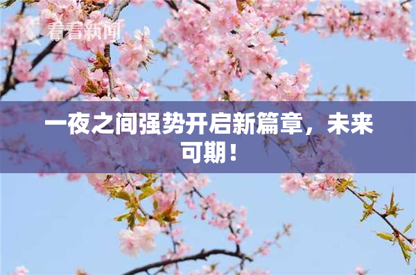 一夜之间强势开启新篇章，未来可期！