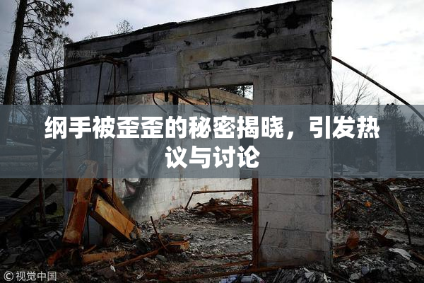 纲手被歪歪的秘密揭晓，引发热议与讨论