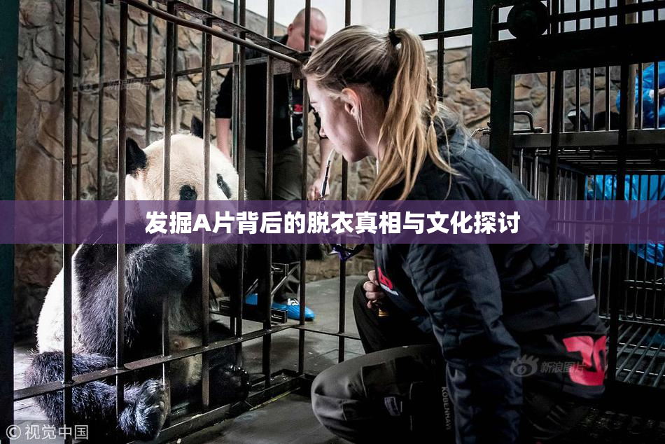 发掘A片背后的脱衣真相与文化探讨