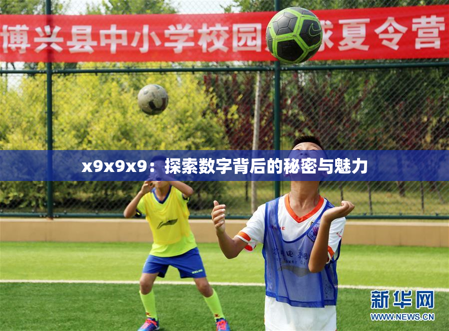 x9x9x9：探索数字背后的秘密与魅力