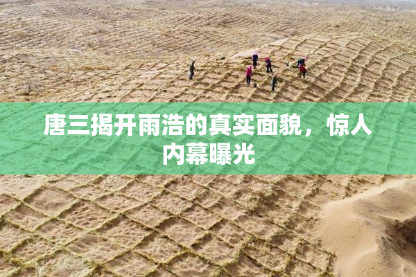 唐三揭开雨浩的真实面貌，惊人内幕曝光