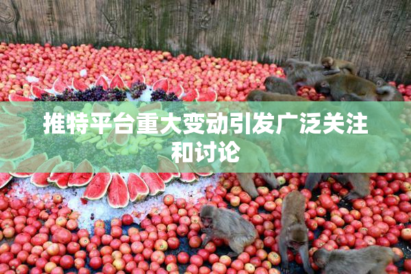推特平台重大变动引发广泛关注和讨论