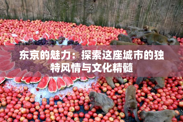 东京的魅力：探索这座城市的独特风情与文化精髓