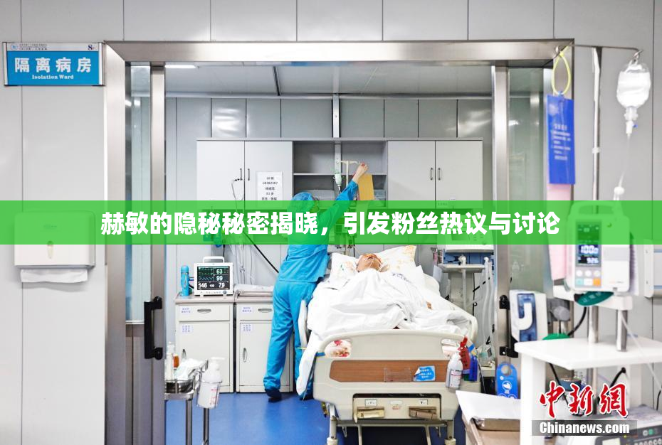 赫敏的隐秘秘密揭晓，引发粉丝热议与讨论