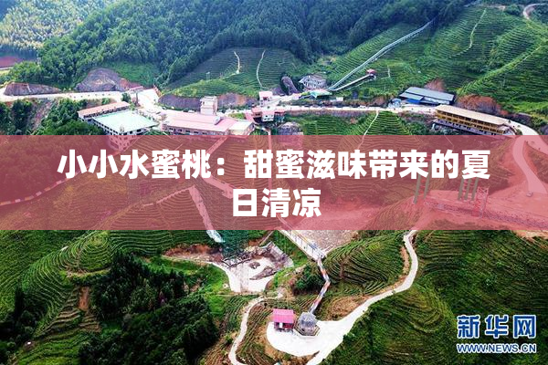 小小水蜜桃：甜蜜滋味带来的夏日清凉