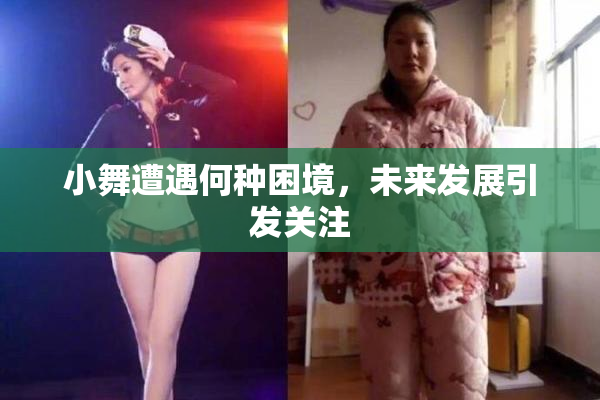 小舞遭遇何种困境，未来发展引发关注