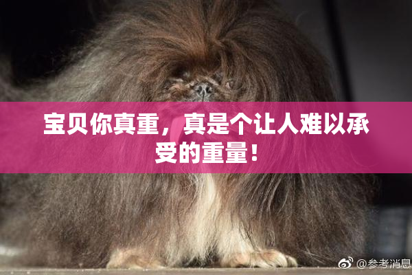 宝贝你真重，真是个让人难以承受的重量！