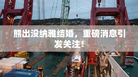 熊出没纳雅结婚，重磅消息引发关注！