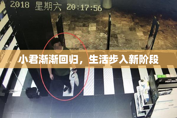 小君渐渐回归，生活步入新阶段