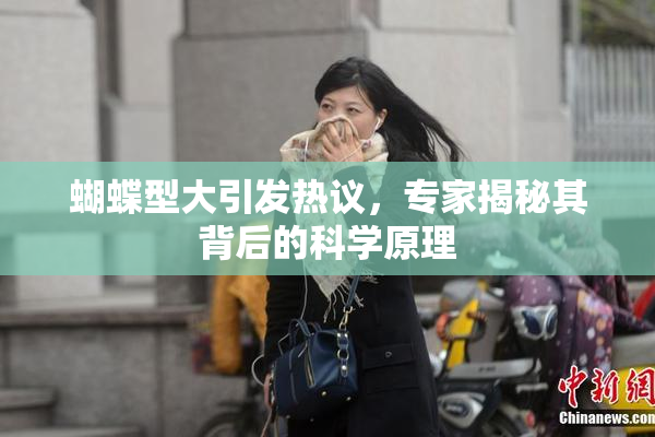 蝴蝶型大引发热议，专家揭秘其背后的科学原理