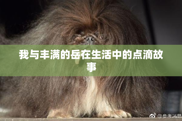 我与丰满的岳在生活中的点滴故事