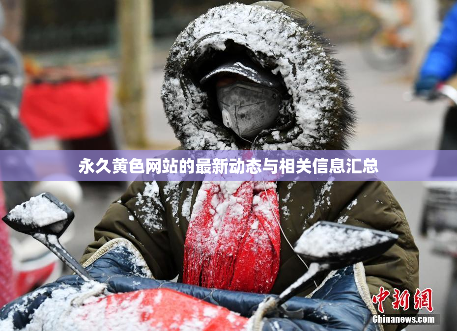 永久黄色网站的最新动态与相关信息汇总