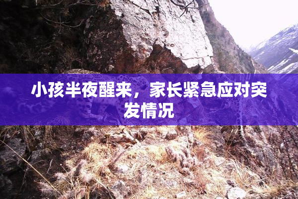 小孩半夜醒来，家长紧急应对突发情况