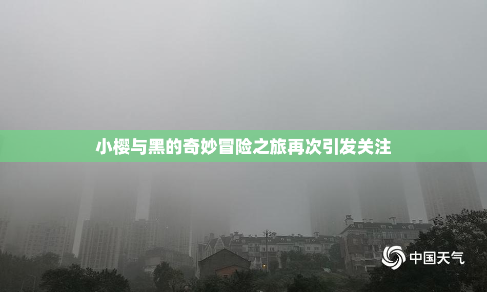 小樱与黑的奇妙冒险之旅再次引发关注