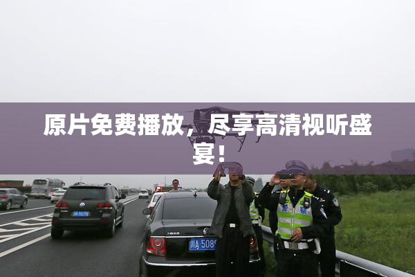 原片免费播放，尽享高清视听盛宴！