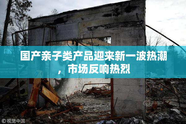 国产亲子类产品迎来新一波热潮，市场反响热烈
