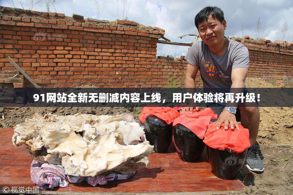 91网站全新无删减内容上线，用户体验将再升级！