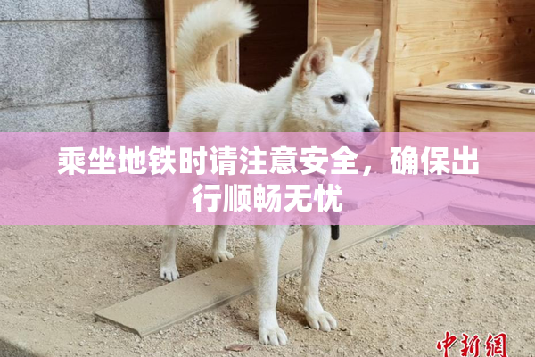 乘坐地铁时请注意安全，确保出行顺畅无忧