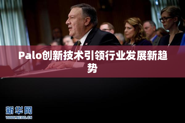 Palo创新技术引领行业发展新趋势
