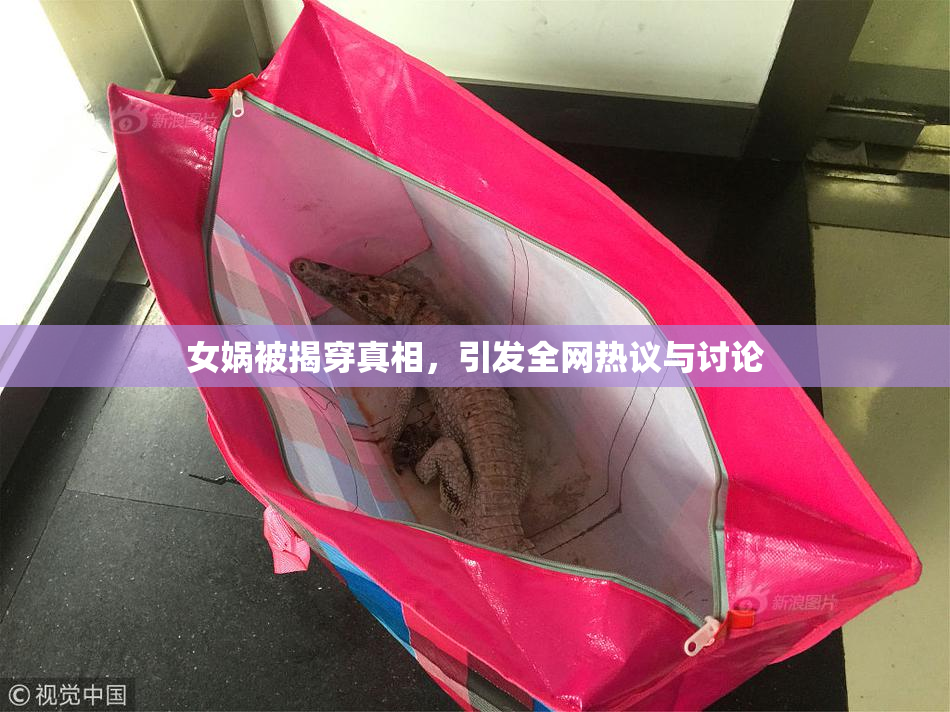 女娲被揭穿真相，引发全网热议与讨论