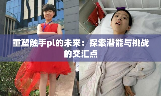 重塑触手pl的未来：探索潜能与挑战的交汇点