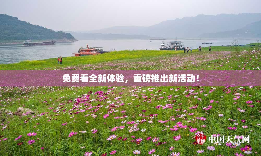 免费看全新体验，重磅推出新活动！