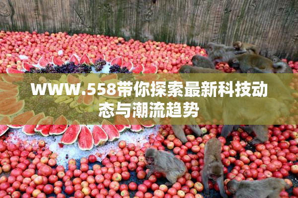 WWW.558带你探索最新科技动态与潮流趋势