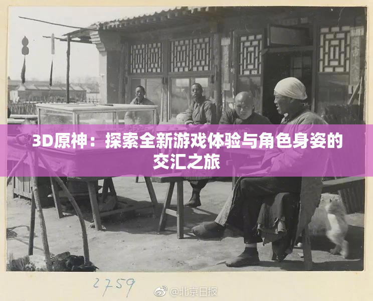 3D原神：探索全新游戏体验与角色身姿的交汇之旅