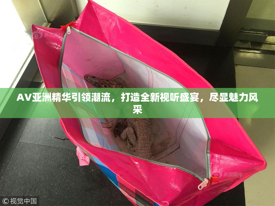 AV亚洲精华引领潮流，打造全新视听盛宴，尽显魅力风采
