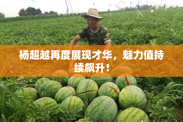 杨超越再度展现才华，魅力值持续飙升！