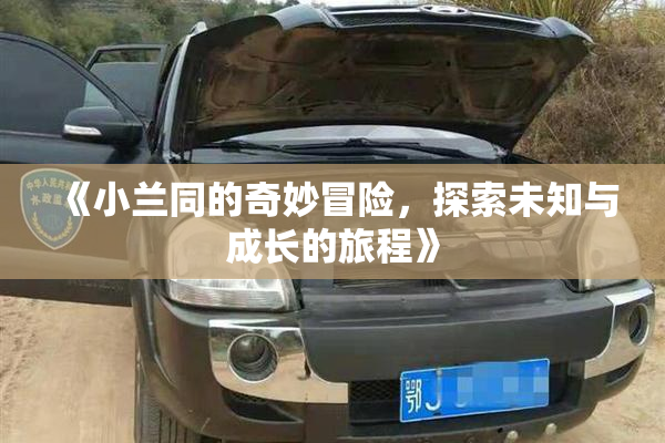 《小兰同的奇妙冒险，探索未知与成长的旅程》
