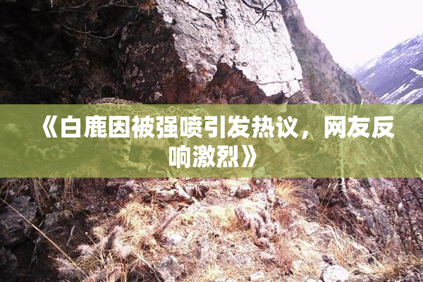 《白鹿因被强喷引发热议，网友反响激烈》