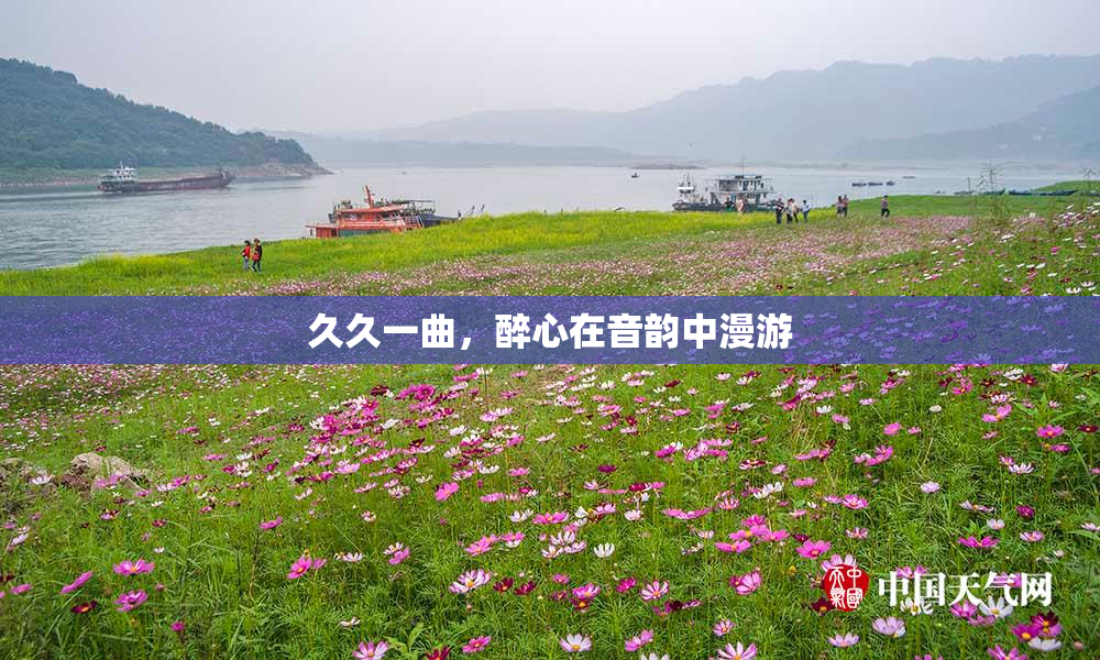 久久一曲，醉心在音韵中漫游