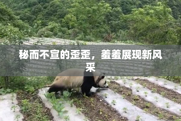 秘而不宣的歪歪，羞羞展现新风采