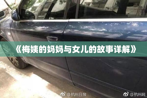 《梅姨的妈妈与女儿的故事详解》
