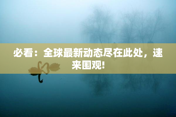 必看：全球最新动态尽在此处，速来围观!