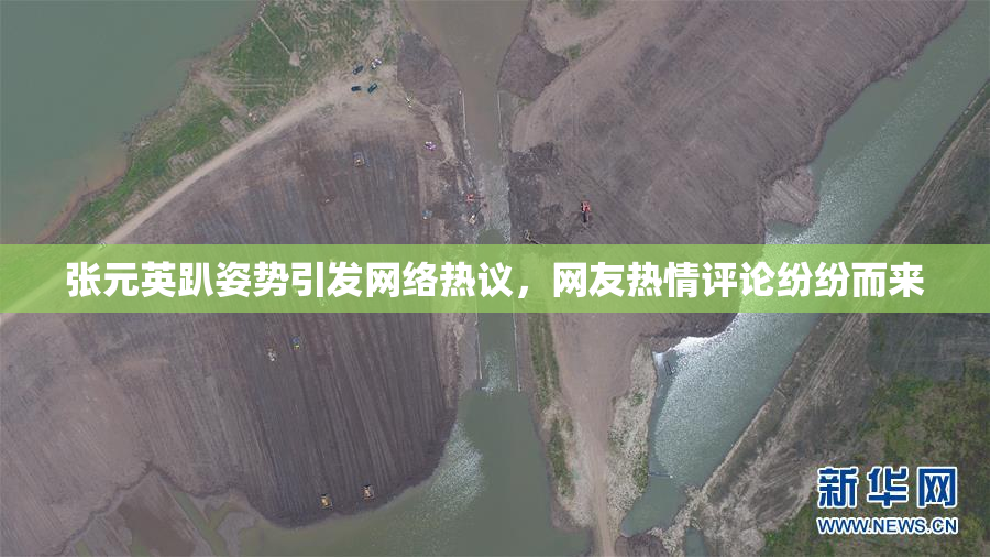张元英趴姿势引发网络热议，网友热情评论纷纷而来