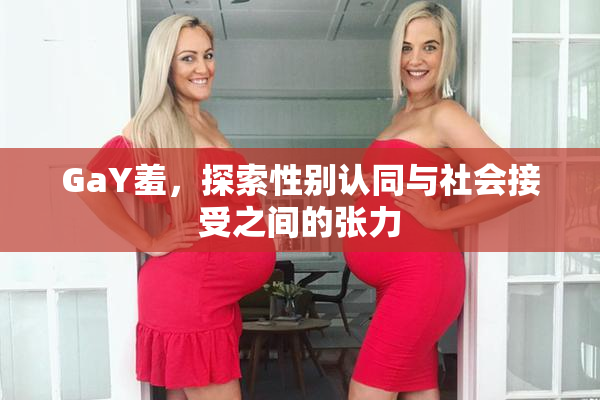 GaY羞，探索性别认同与社会接受之间的张力