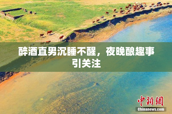 醉酒直男沉睡不醒，夜晚酿趣事引关注