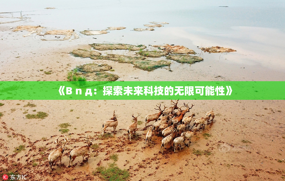 《B n д：探索未来科技的无限可能性》