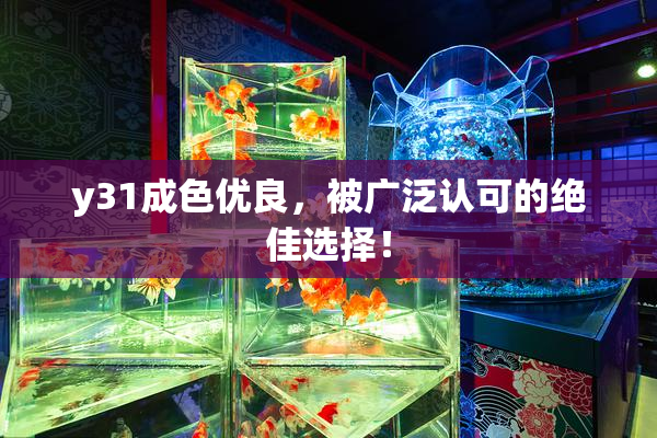 y31成色优良，被广泛认可的绝佳选择！