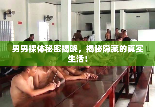 男男裸体秘密揭晓，揭秘隐藏的真实生活！