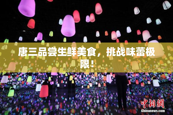 唐三品尝生鲜美食，挑战味蕾极限！