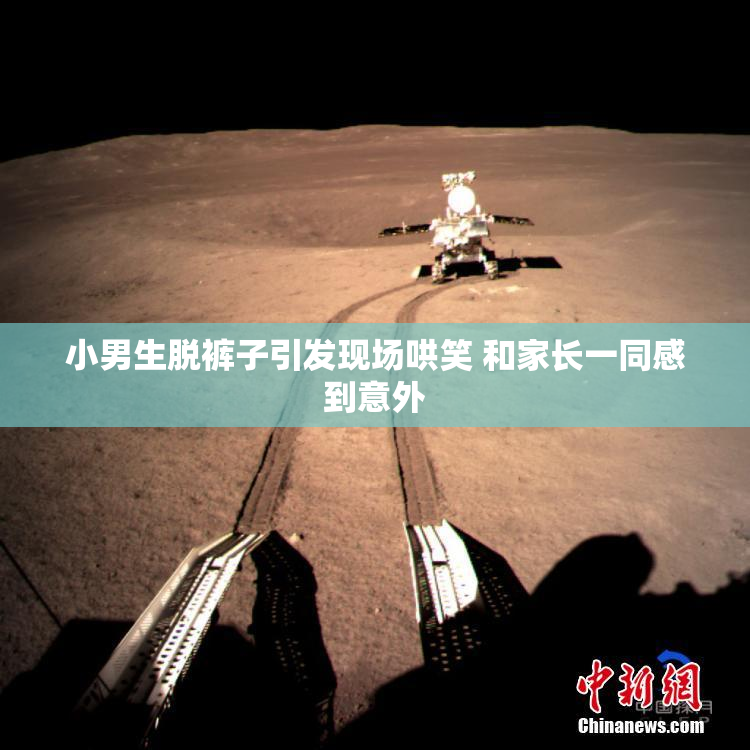小男生脱裤子引发现场哄笑 和家长一同感到意外