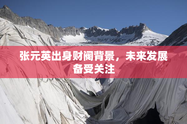 张元英出身财阀背景，未来发展备受关注