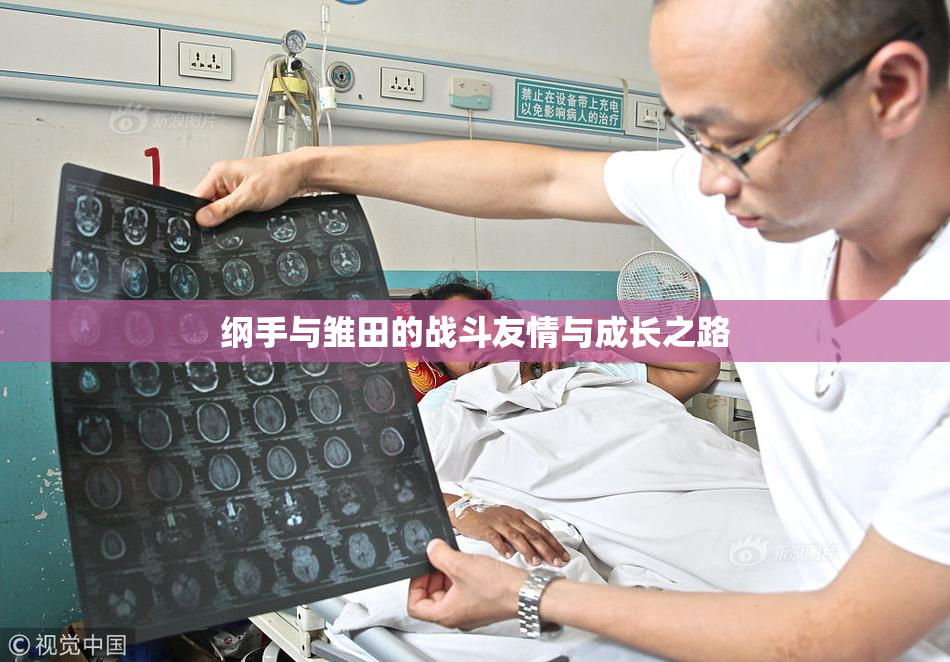 纲手与雏田的战斗友情与成长之路