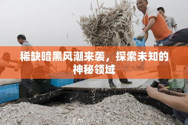 稀缺暗黑风潮来袭，探索未知的神秘领域