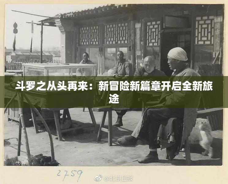 斗罗之从头再来：新冒险新篇章开启全新旅途